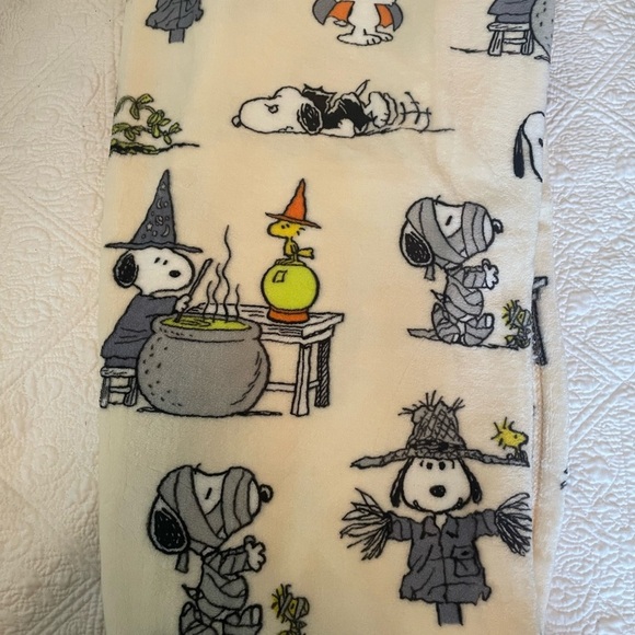 Peanuts Snoopy And Woodstock Halloween Soft Plush Throw Blanket 50 x 70 - Picture 1 of 4